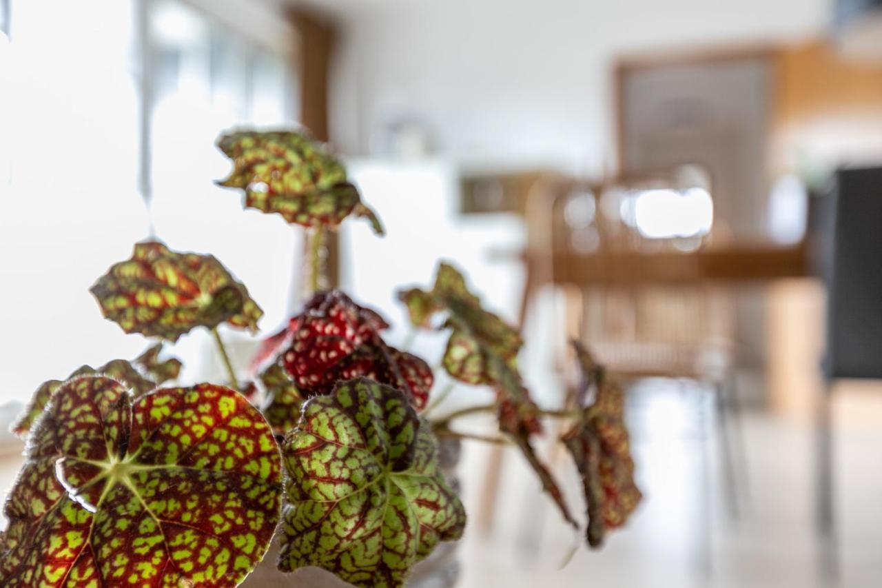 Ferienwohnung Meeressand Sankt Peter-Ording Exteriér fotografie
